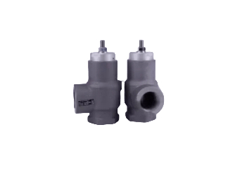 Купить Клапан минимального давления G40-1 1/2" / G46-1 1/2" 220.2300.0580 с доставкой